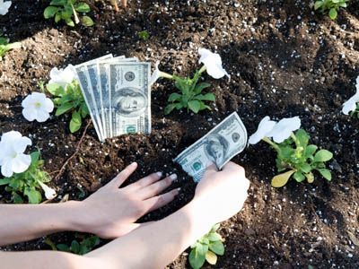 herbicidas-economía-plantas