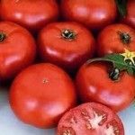 dombito Variedades de tomates
