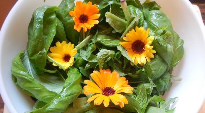 ensalada de flores comestibles de caléndula
