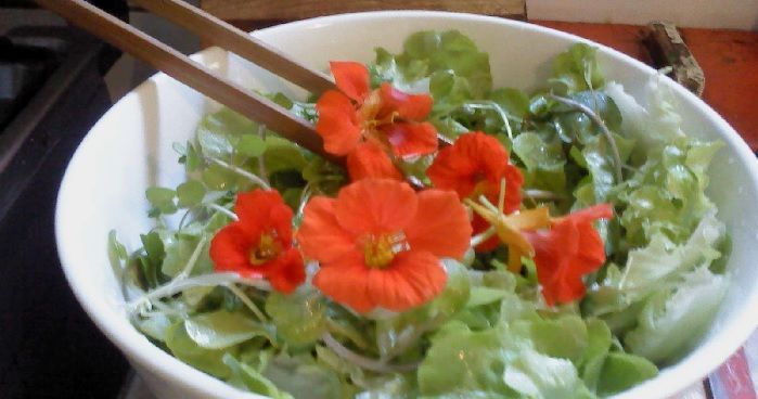 ensalada fresca con flores comestibles de capuchina