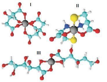 estructuras para proteger los nutrientes como los quelatos de hierro