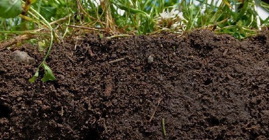 fertilidad del suelo y relació CN