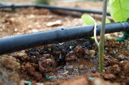 Tuberías para fertirrigación de plantas