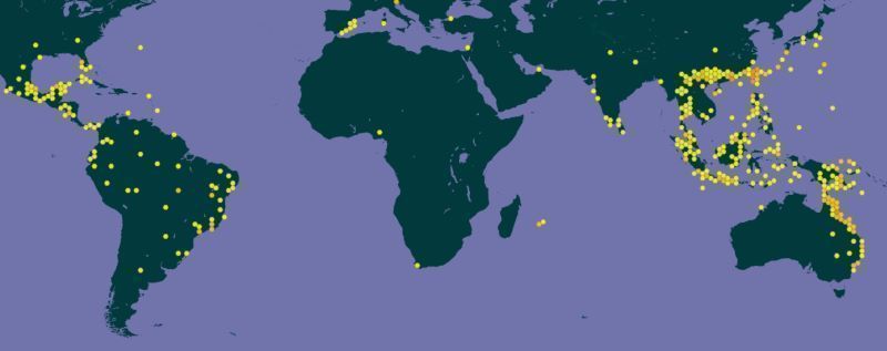 Presencia de Ficus microcarpa ginseng en el mundo