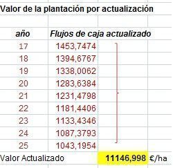 flujo de caja actualizado