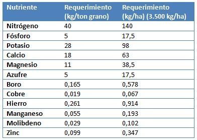 Requerimientos nutricionales del girasol