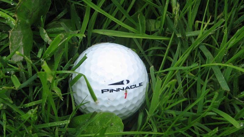 Césped campo de golf
