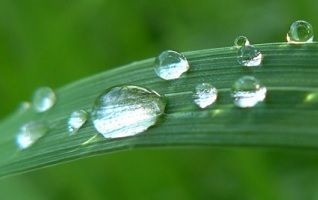 golpe de calor, gotas de lluvia lupa