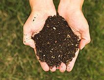 compost de siembra