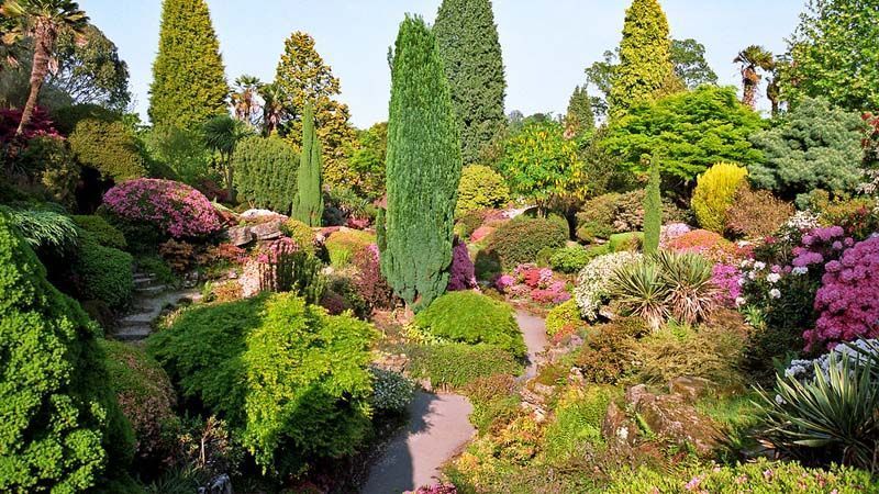 cómo hacer un jardín