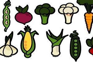 hortalizas hortalizas