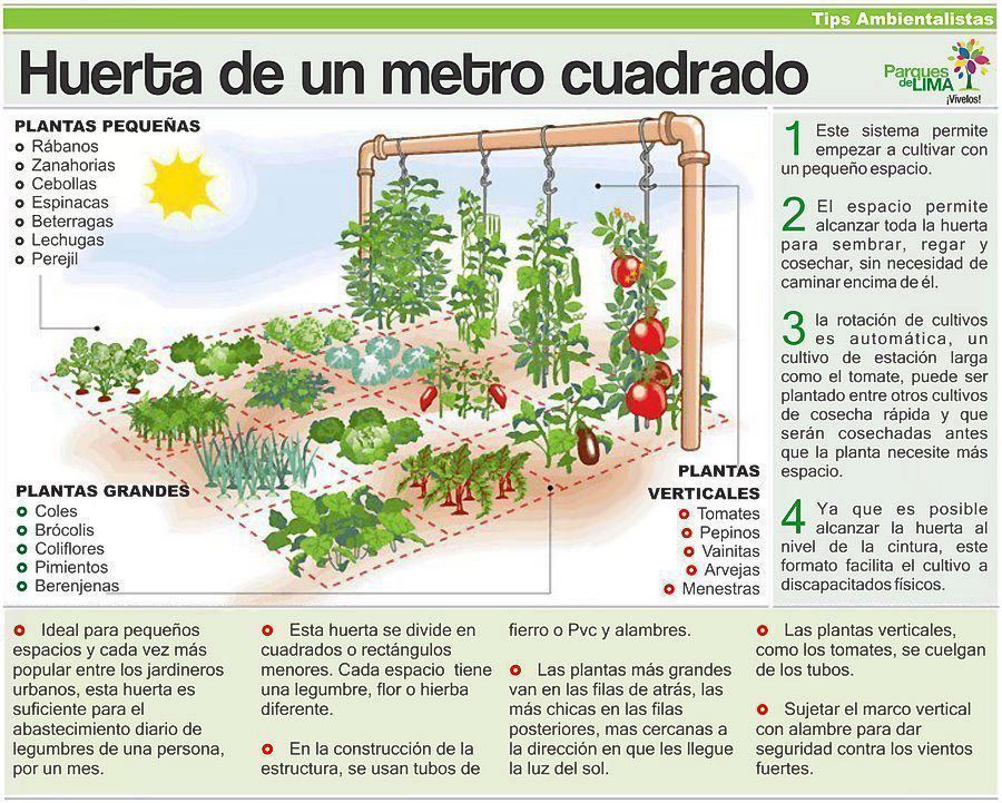 huerta de 1 metro