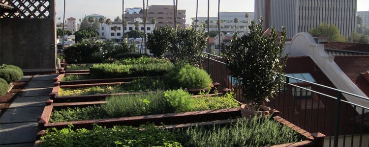 huerto urbano
