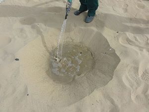 humedad del suelo 1