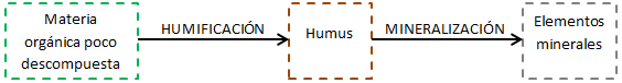 humificacion