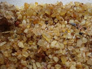 incienso incienso