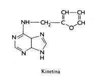 kinetina y citoquininas