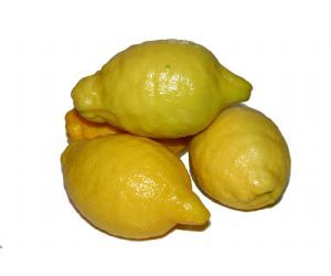 limón variedades de cítricos