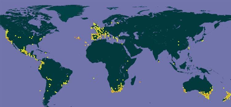 mapa distribución lirio de agua