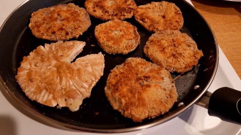 Seta parasol empanada