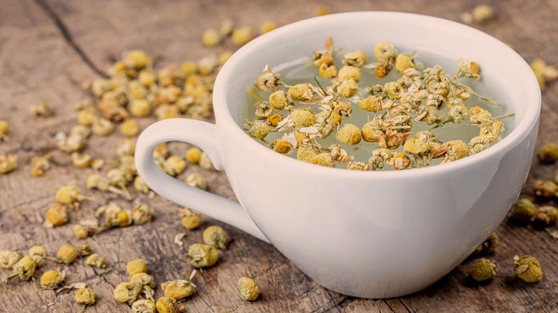 manzanilla amarga infusión