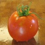 marglobe Variedades de tomates