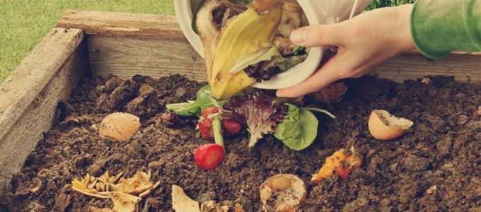 materia organica y compost