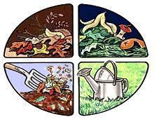 materia orgánica en el suelo