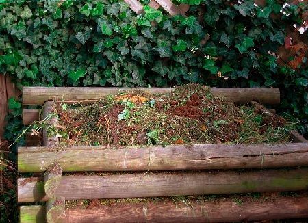 materia orgánica vegetal
