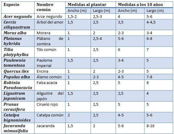 medidas árboles paisaje urbano