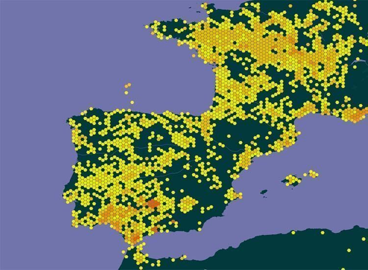 menta poleo distribucion españa