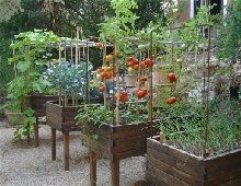 huerto urbano mesa de cultivo