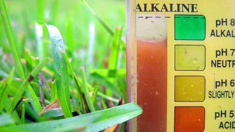 pH abonos y plantas