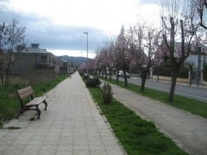 paseo de ciruelos paisaje urbano