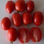 pera de girona Variedades de tomates