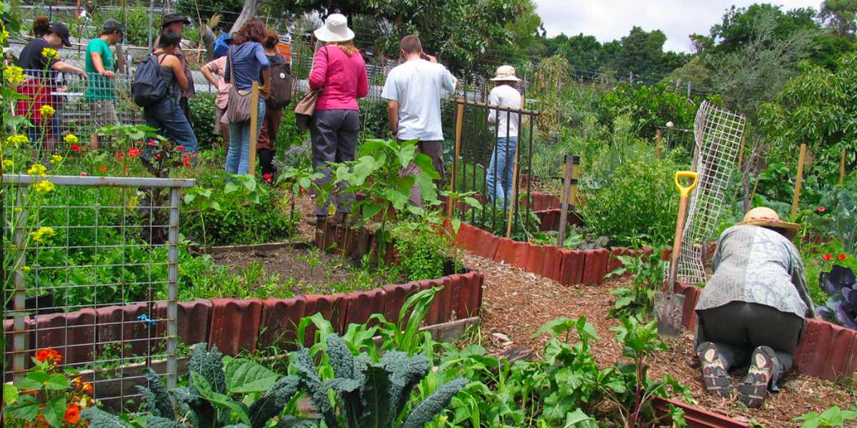 permacultura, vida sostenible