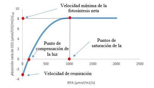 punto de compensación de la luz