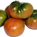 raf Variedades de tomates
