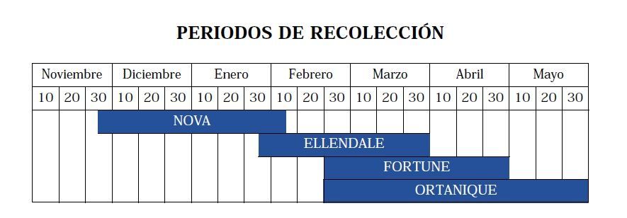 recolección híbridos recolección híbridos.