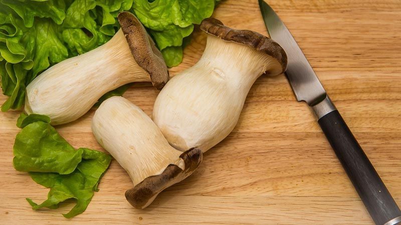 ejemplares cultivados de seta de cardo