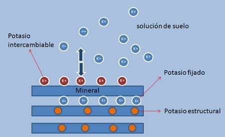 sulfato de potasio en el suelo