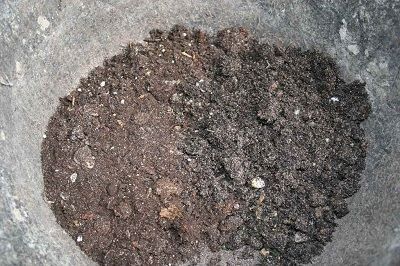 sustrato de turba y arena para esquejado sustrato de turba y arena para esquejado