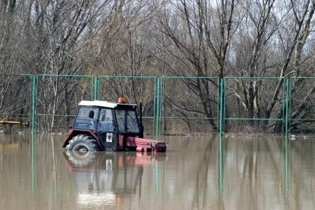 terreno lleno de agua terreno lleno de agua asifixa radicular