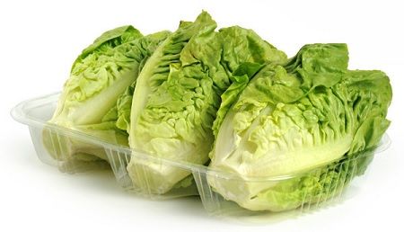 tipos de lechuga baby en envase