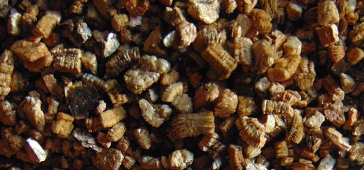 vermiculita