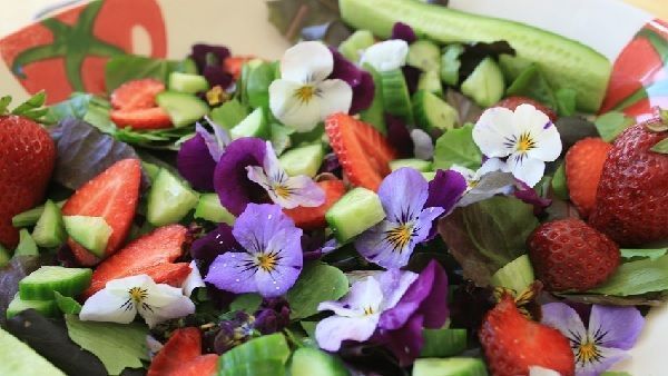flores comestibles de violetas